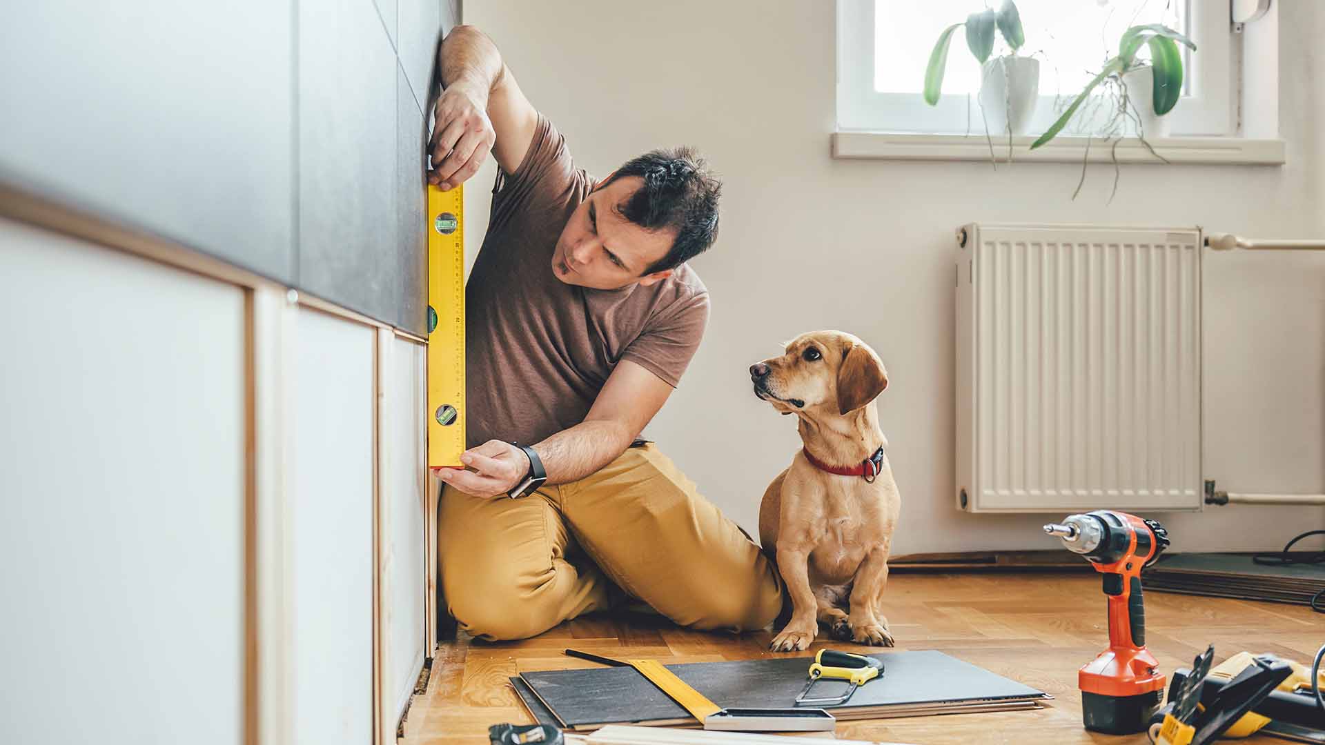 Man with dog doing renovation